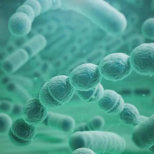 Video-Slider-Pharmamel-Drug-Discovery-opt2_1